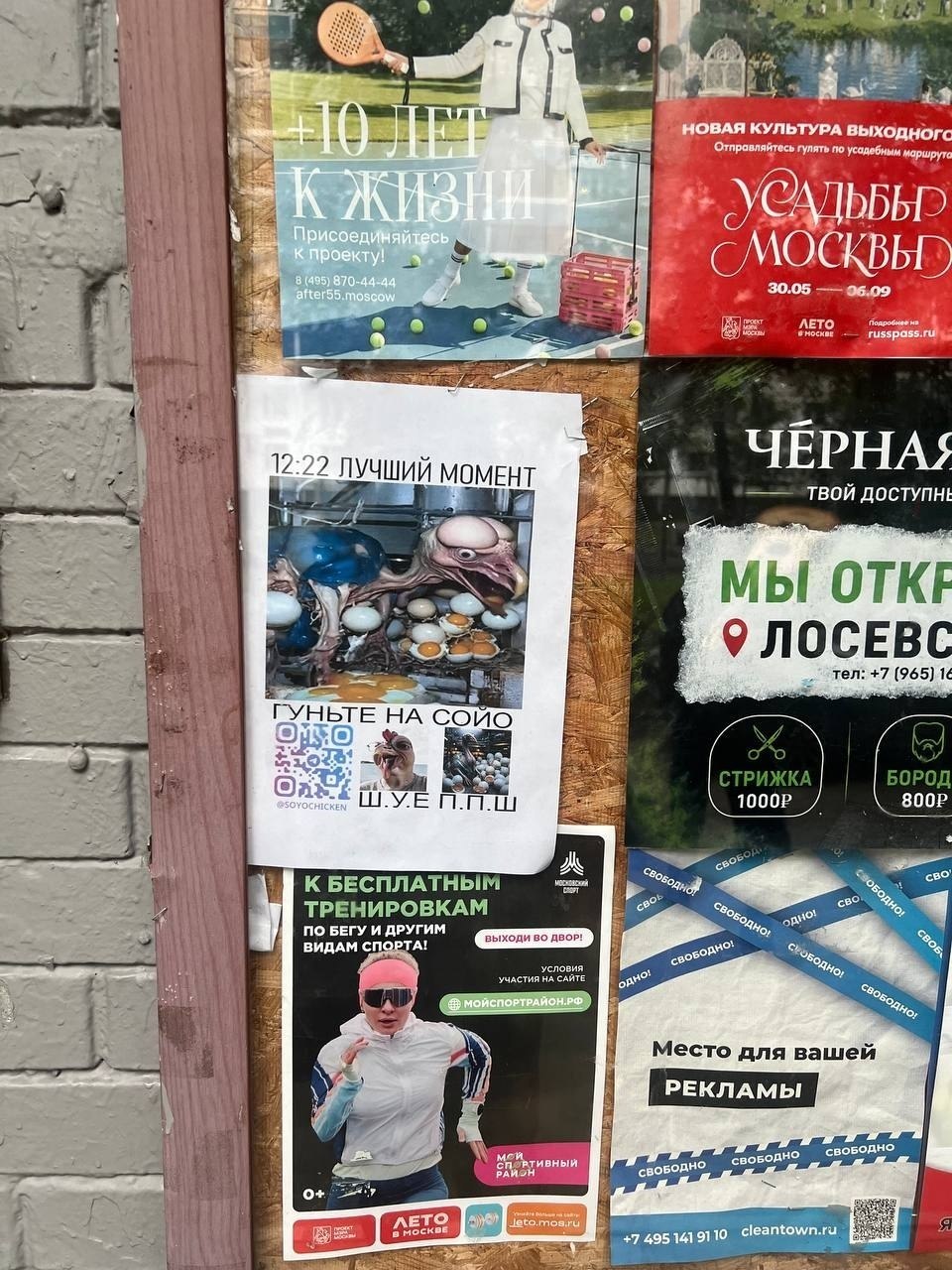 Агитплакат с чикен сой'о